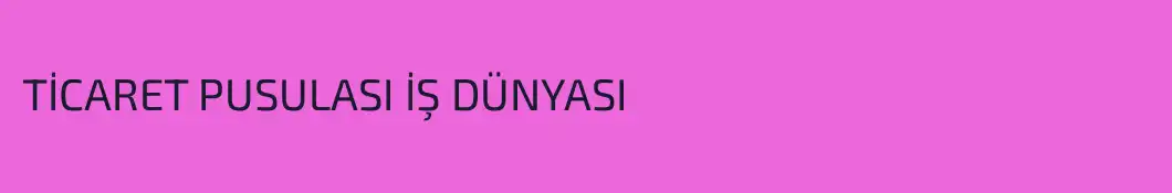 TİCARET PUSULASI İŞ DÜNYASI